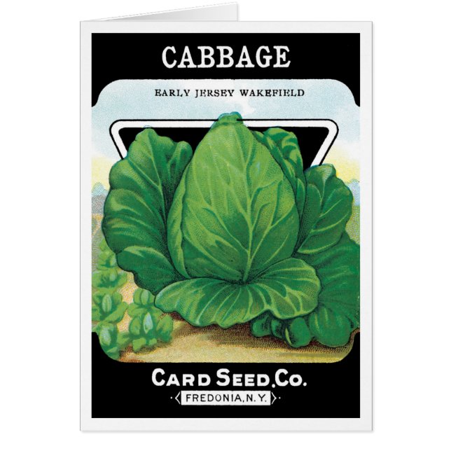 Vintage Seed Packet Label Art, Green Cabbage Cards (Front)
