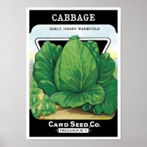 Vintage Seed Packet Label Art, Green Cabbage
