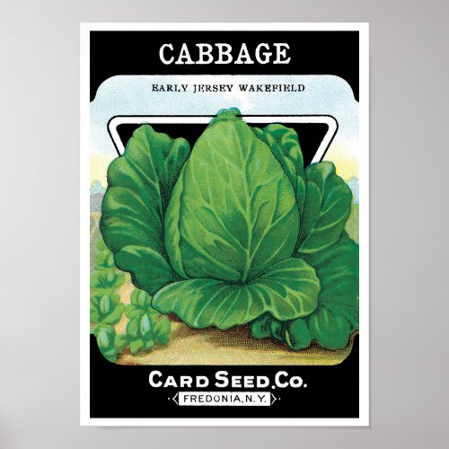 Vintage Seed Packet Label Art, Green Cabbage