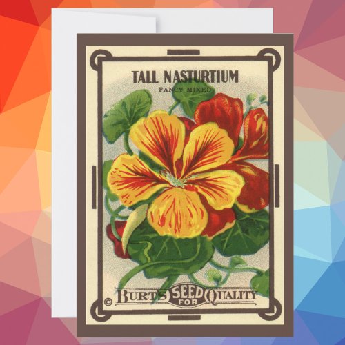 Vintage Seed Packet Label Art Nasturtium Flowers