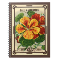 Vintage Seed Packet Label Art, Nasturtium Flowers