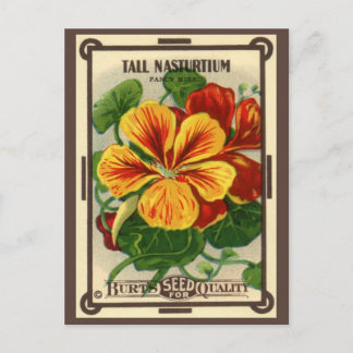 Vintage Seed Packet Label Art, Nasturtium Flowers Postcard