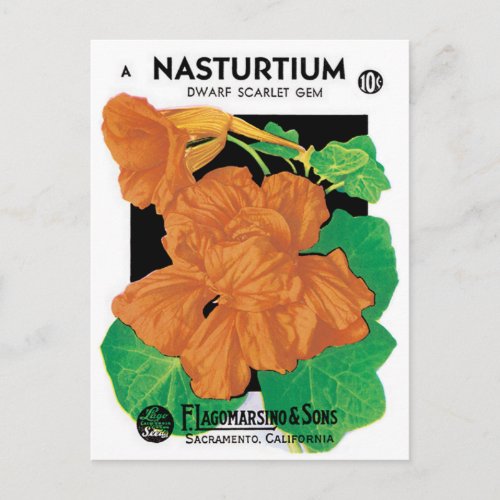 Vintage Seed Packet Label Art Nasturtium Flowers Postcard