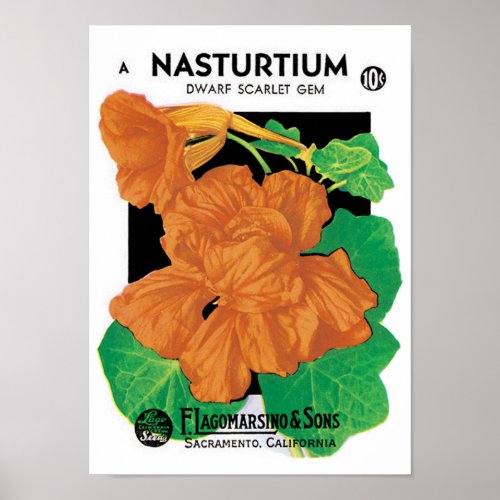 Vintage Seed Packet Label Art Nasturtium Flowers Poster