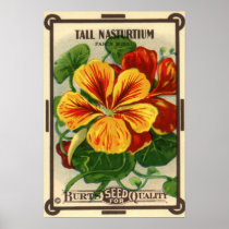 Vintage Seed Packet Label Art, Nasturtium Flowers