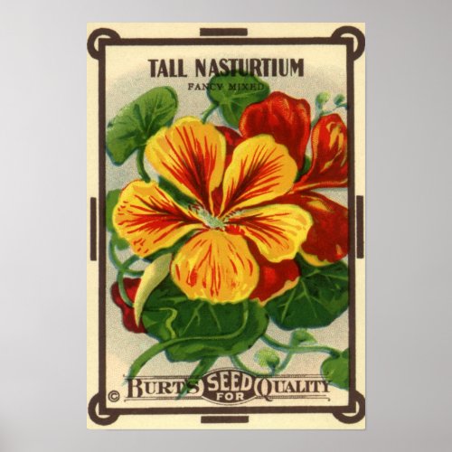 Vintage Seed Packet Label Art, Nasturtium Flowers