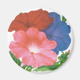 Vintage Seed Packet Label Art, Petunia Flowers Magnet