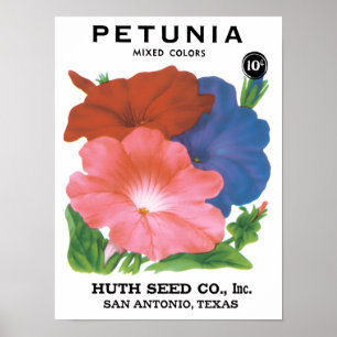 Vintage Seed Packet Label Art, Petunia Flowers Poster