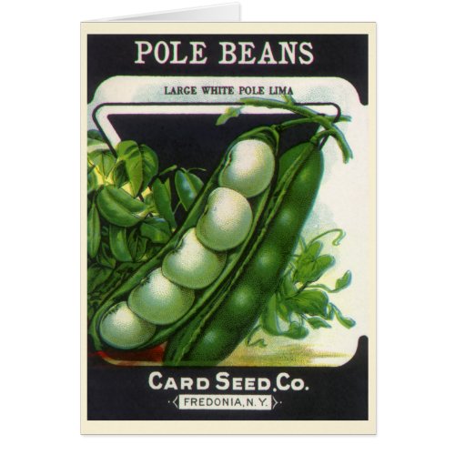 Vintage Seed Packet Label Art, Pole Lima Beans