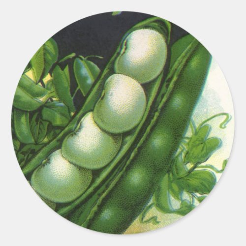 Vintage Seed Packet Label Art Pole Lima Beans