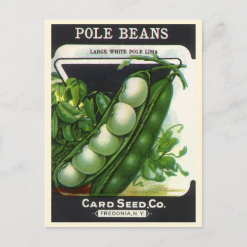 Vintage Seed Packet Label Art Pole Lima Beans Postcard