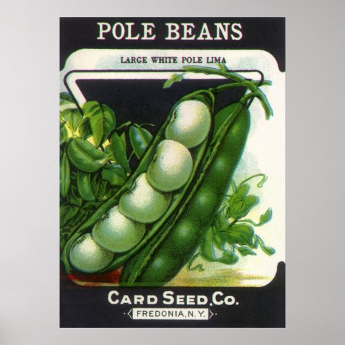 Vintage Seed Packet Label Art Pole Lima Beans Poster