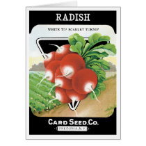 Vintage Seed Packet Label Art, Scarlet Radishes
