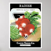 Vintage Seed Packet Label Art, Scarlet Radishes