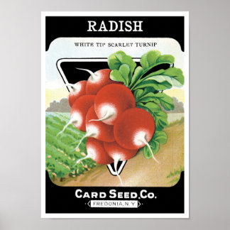 Vintage Seed Packet Label Art, Scarlet Radishes Poster