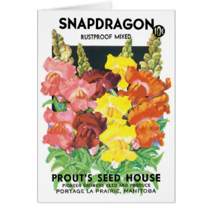 Vintage Seed Packet Label Art, Snapdragon Flowers