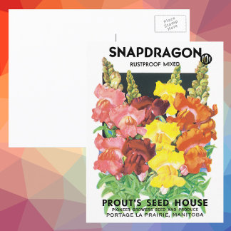 Vintage Seed Packet Label Art, Snapdragon Flowers Postcard