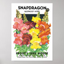 Vintage Seed Packet Label Art, Snapdragon Flowers