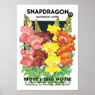 Vintage Seed Packet Label Art, Snapdragon Flowers Poster
