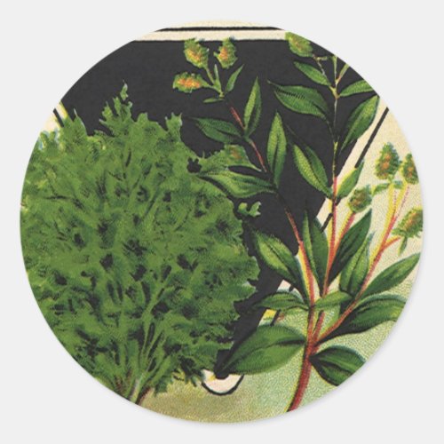 Vintage Seed Packet Label Art Sweet Marjoram Herbs