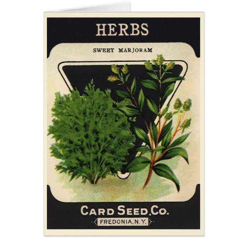 Vintage Seed Packet Label Art Sweet Marjoram Herbs