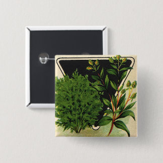 Vintage Seed Packet Label Art Sweet Marjoram Herbs Button