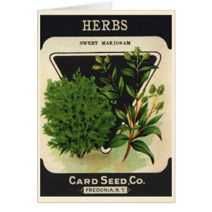 Vintage Seed Packet Label Art Sweet Marjoram Herbs Cards