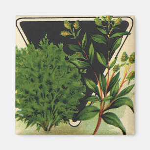 Vintage Seed Packet Label Art Sweet Marjoram Herbs Magnet