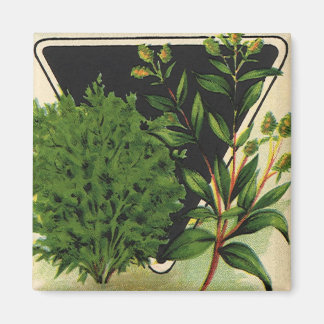 Vintage Seed Packet Label Art Sweet Marjoram Herbs Magnet