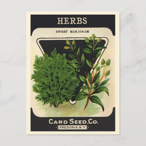 Vintage Seed Packet Label Art Sweet Marjoram Herbs Postcard