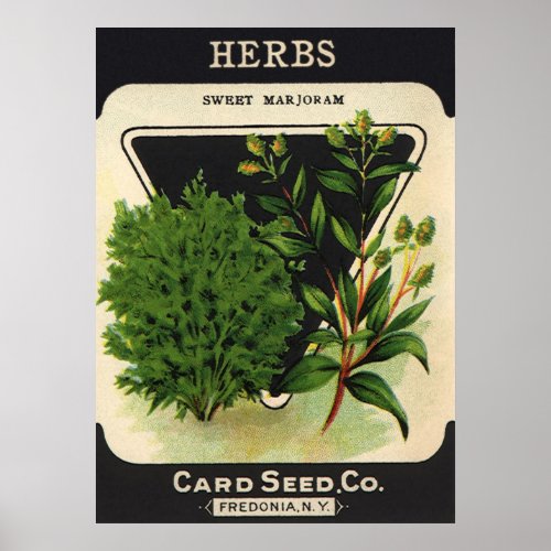 Vintage Seed Packet Label Art Sweet Marjoram Herbs Poster