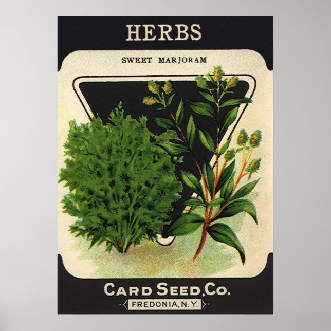 Vintage Seed Packet Label Art Sweet Marjoram Herbs Poster (Front)