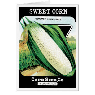 Vintage Seed Packet Label Art, Sweet White Corn
