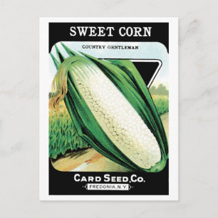 Vintage Seed Packet Label Art, Sweet White Corn Postcard