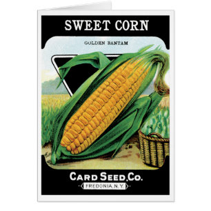 Vintage Seed Packet Label Art, Sweet Yellow Corn Cards