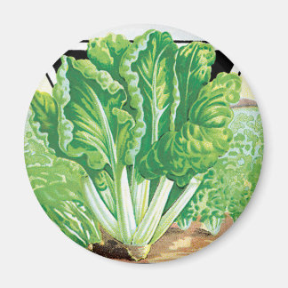 Vintage Seed Packet Label Art, Swiss Chard Veggies Magnet