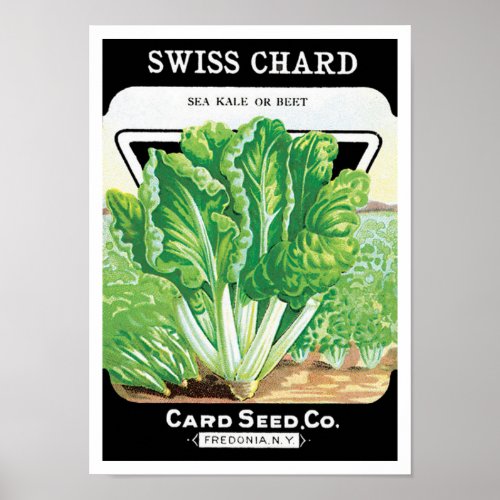 Vintage Seed Packet Label Art, Swiss Chard Veggies