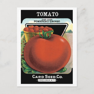 Vintage Seed Packet Label Art, Tomato Pomodoro Postcard