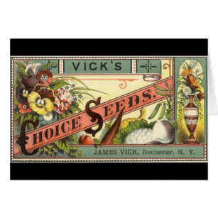 Vintage Seed Packet Label Art, Vick's Choice Seeds