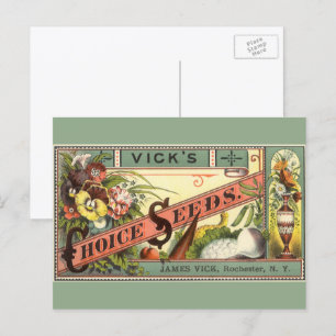 Vintage Seed Packet Label Art, Vick's Choice Seeds Postcard