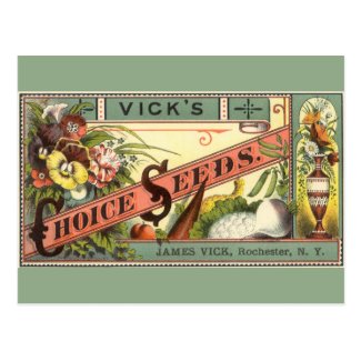 Vintage Seed Packet Label Art, Vick's Choice Seeds Postcard