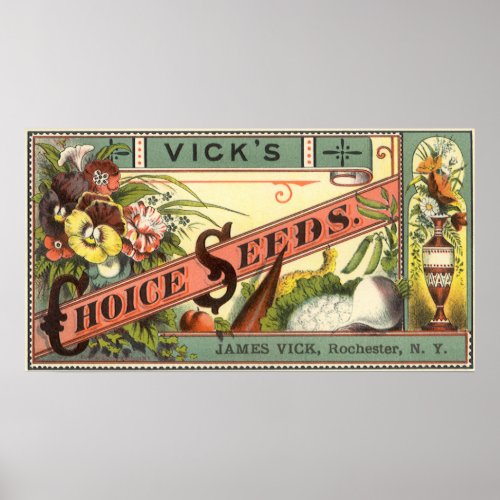Vintage Seed Packet Label Art, Vick's Choice Seeds