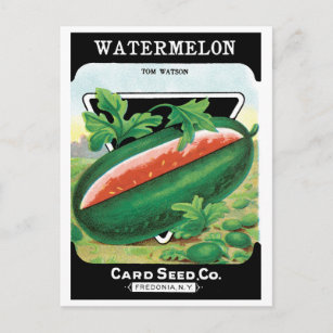 Vintage Seed Packet Label Art, Watermelons Fruit Postcard