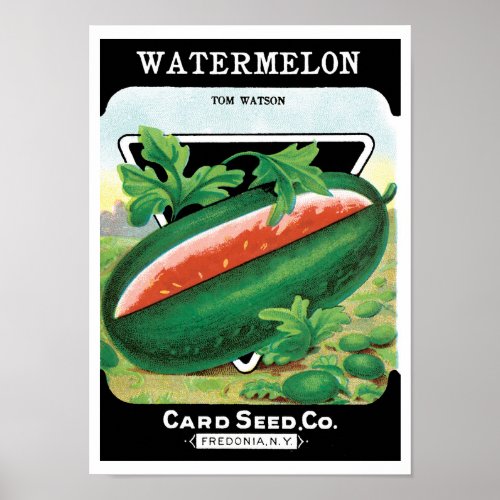 Vintage Seed Packet Label Art, Watermelons Fruit