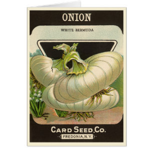 Vintage Seed Packet Label Art White Bermuda Onions