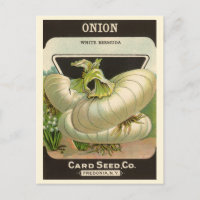 Vintage Seed Packet Label Art White Bermuda Onions