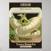 Vintage Seed Packet Label Art White Bermuda Onions