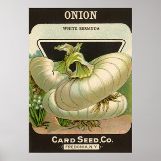 Vintage Seed Packet Label Art White Bermuda Onions Poster