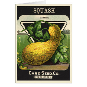 Vintage Seed Packet Label Art Yellow Summer Squash Cards