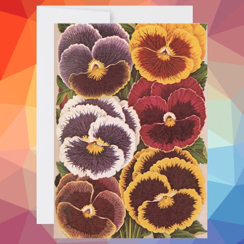 Vintage Seed Packet Labels Garden Pansy Flowers